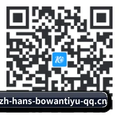 系统版 iOS 二维码